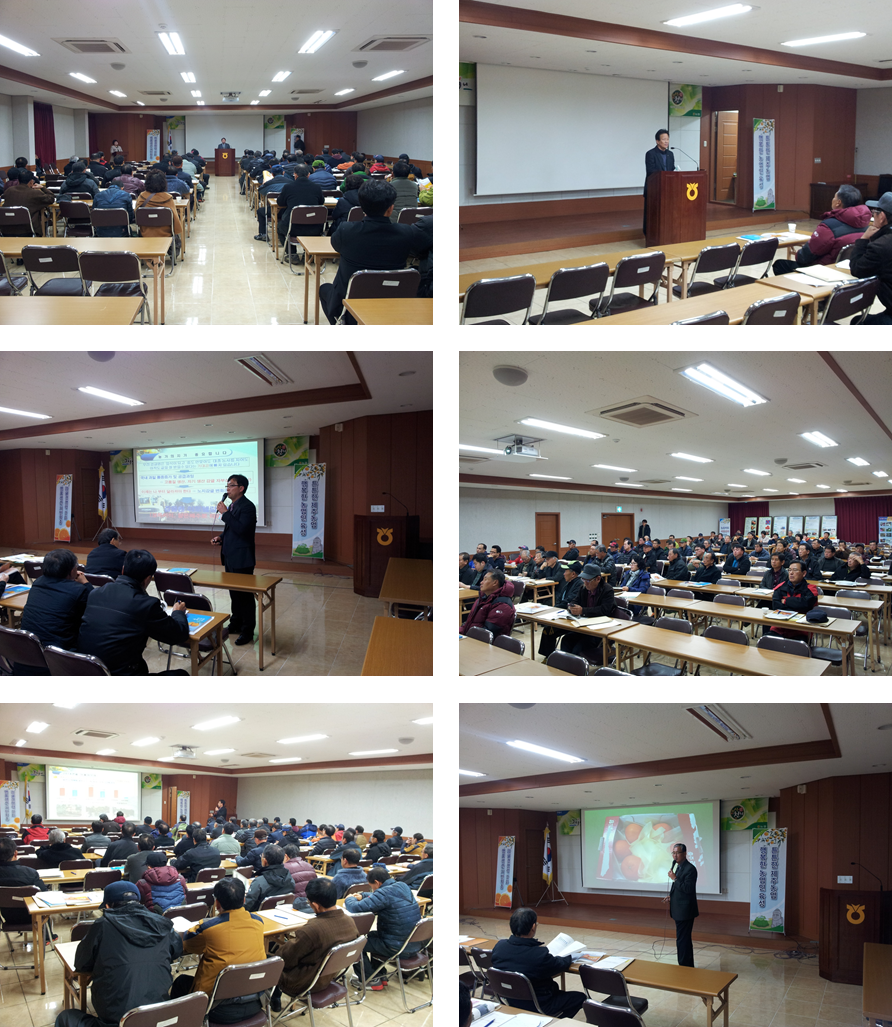 새해 농업인 실용교육 (노지감귤 재배기술, 만감류 재배기술 - 2015. 01. 14)